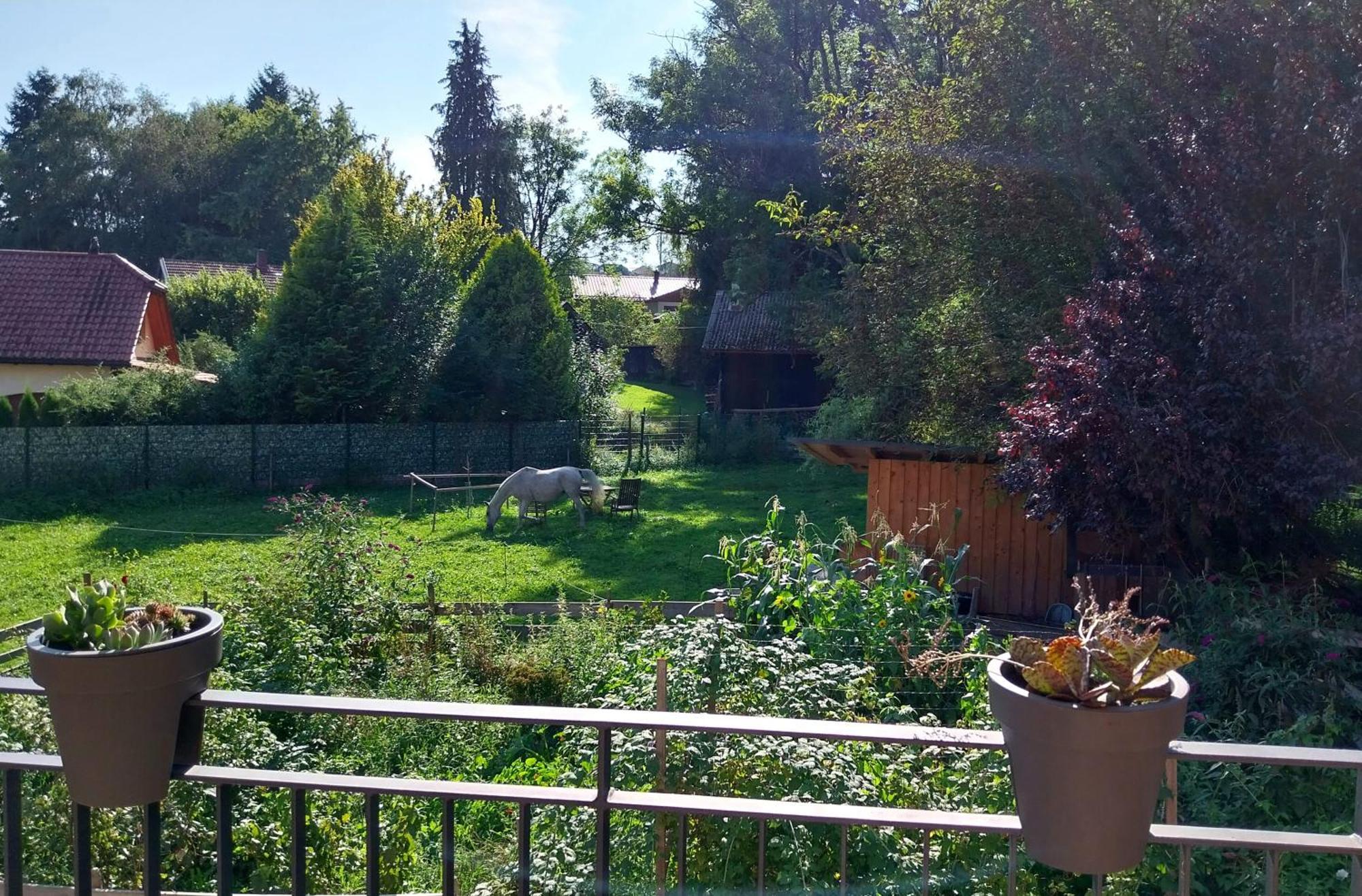 Kempten Mit Bauernhof-Flair Экстерьер фото